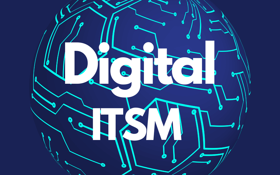 Exploring Digital Service Management (DSM)